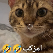 b3kokh