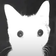 Marsi