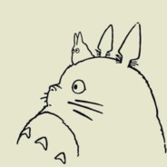 Enzo Totoro