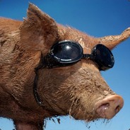 CO_ J@ck_th3_$tr!pp3r_CK