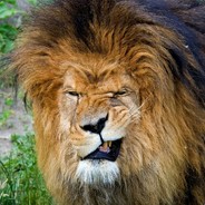 |ViRuS| |Of| |Satan|