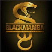 BlackMamba