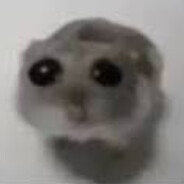 𝑵𝑰𝑮𝑮𝑨𝑪𝑺𝑺