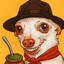 Cachorrito gauchito
