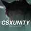 Fen1x | csxunity