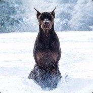 PornHub.UA - steam id 76561197961413677