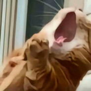 当我的心每分每刻明明