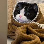 没读过书没跑过路