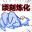 菜鸟