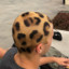 Leopardo