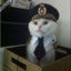 Capt.MEOW !!!!!!