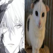 mda y teba avneu otklonenua