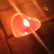 绝对不会钢枪的小萌新