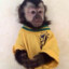 Macaco Monkey da Silva