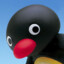 Pingu