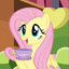 fluttershy