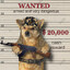 BURATDOG