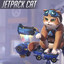 jetpack cat main