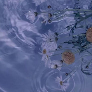 薯片我只吃原味乐事