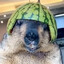 Melon Lord