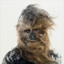 snowy.wookiee