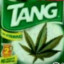 TANG DO MACONHA