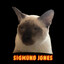 sigmund jones