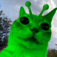 Zlirp Zligga (Notinoy