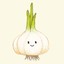 Allium