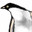 Merry Penguin