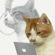 就要做饭2026新年快乐