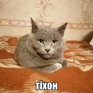 мне pohuy я тiхон - steam id 76561198883392798