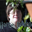 Harry Tardato