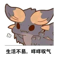 陪心爱的你行至世界的尽头