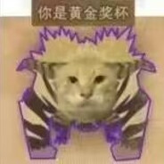 下水道战神阿尔乔姆