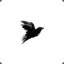 lalbacmdae's avatar