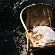 总是在肝还有头发的安