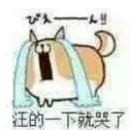 船上唯一吉祥物