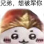 盐津虾，泥而多隆蟆