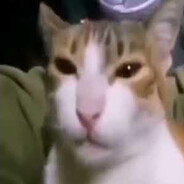 김고룬
