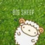 Big Sheep