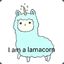 Lamacorn༼ つ ◕_◕ ༽つ