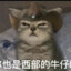 西部喵仔