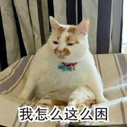 夕夕夕夕影