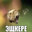 ZERYCH