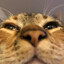 thyracosplay