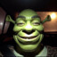 SHREK Lef on Tigr