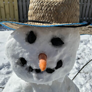 snowman