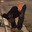 Unhoused