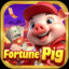 Fortune Pig